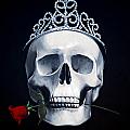 Mortal Beauty